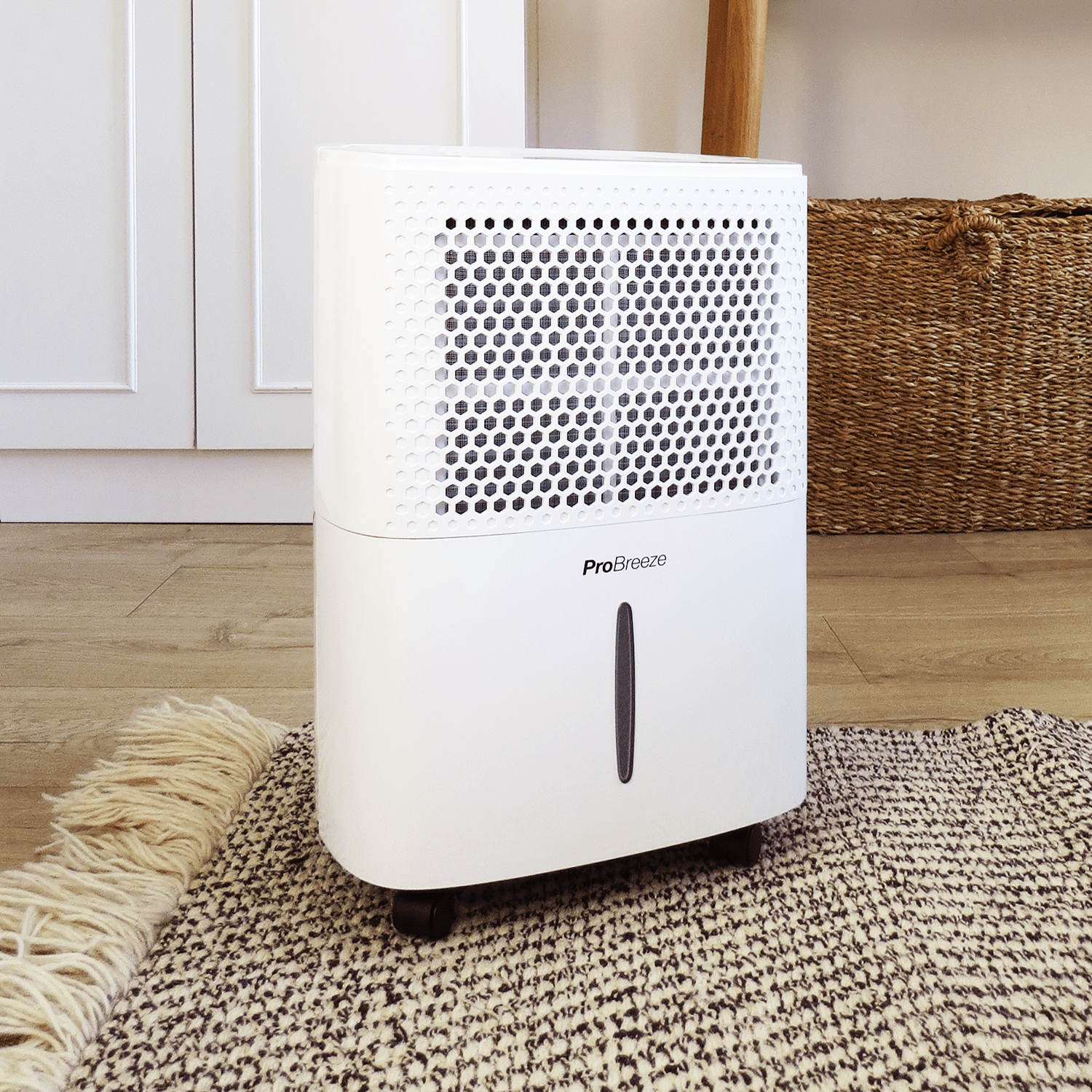 12L Dehumidifier with Built-in Humidistat