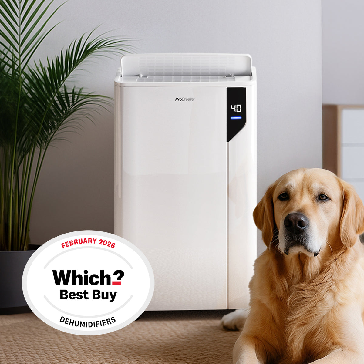 20L Premium Dehumidifier with Special One-Click Laundry Mode