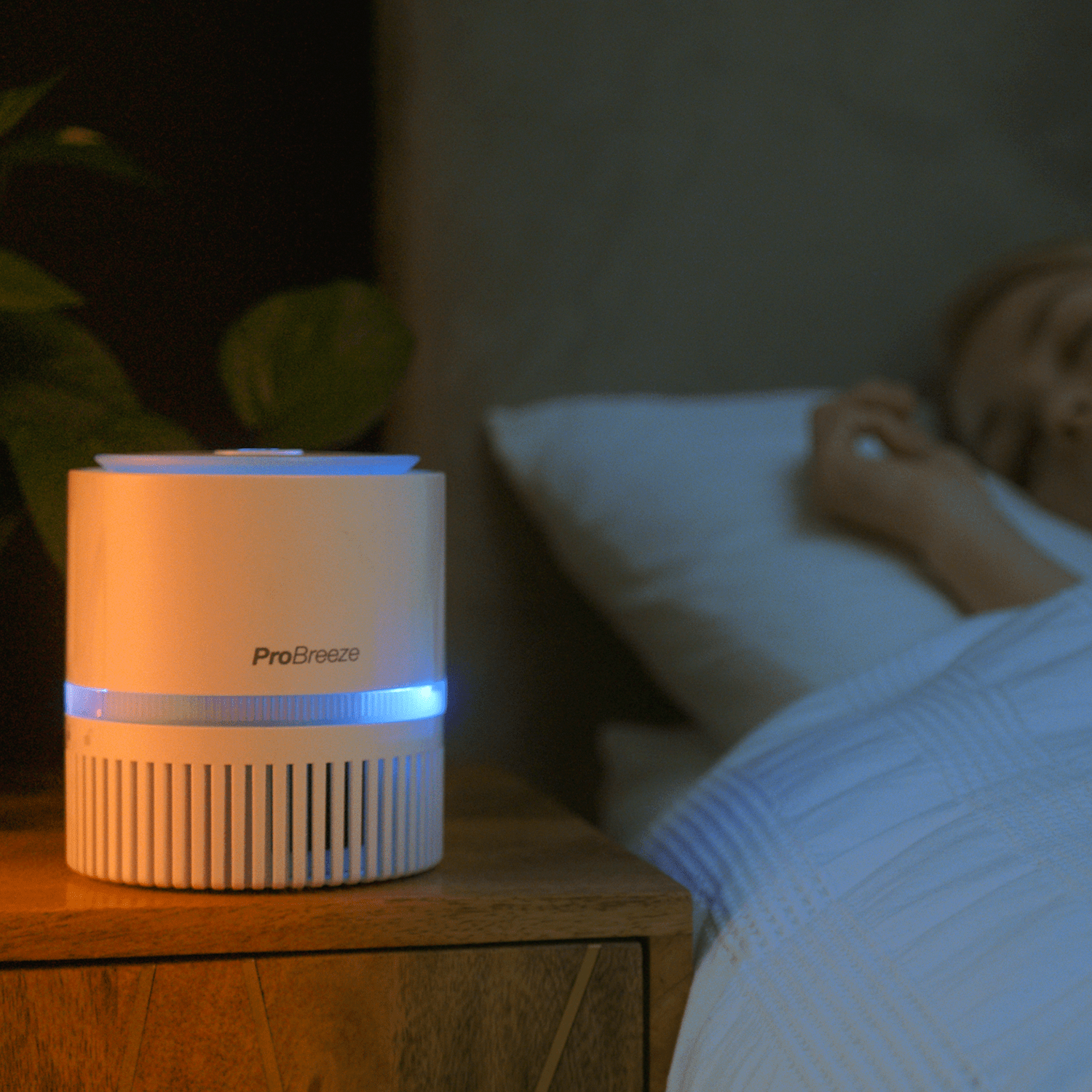 3-in-1 Mini Air Purifier with True HEPA Filter & Negative Ioniser