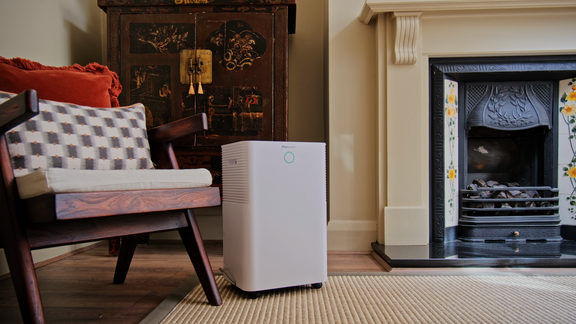 The Dehumidifier Diaries: Justin
