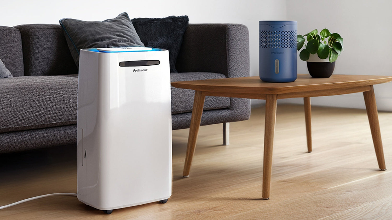 Benefits of a Dehumidifier for Damp & Mould: Reduce Condensation, Support a Fresher Home