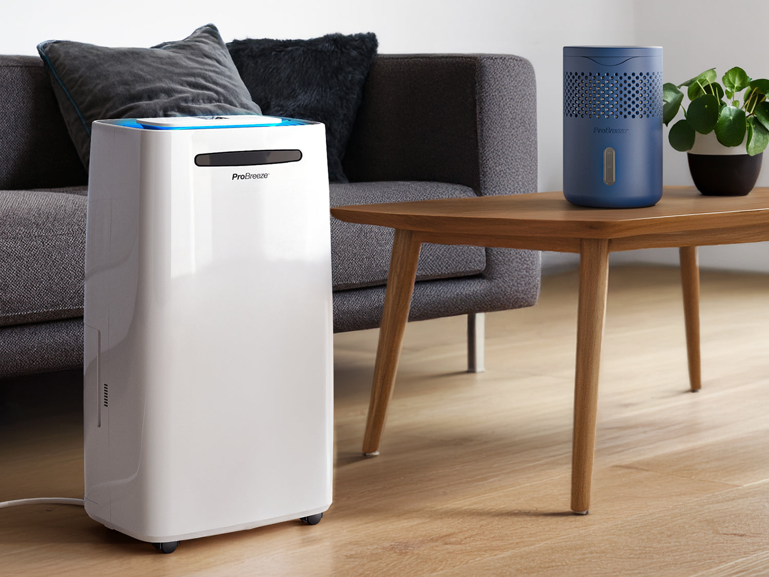 The History of Dehumidifiers