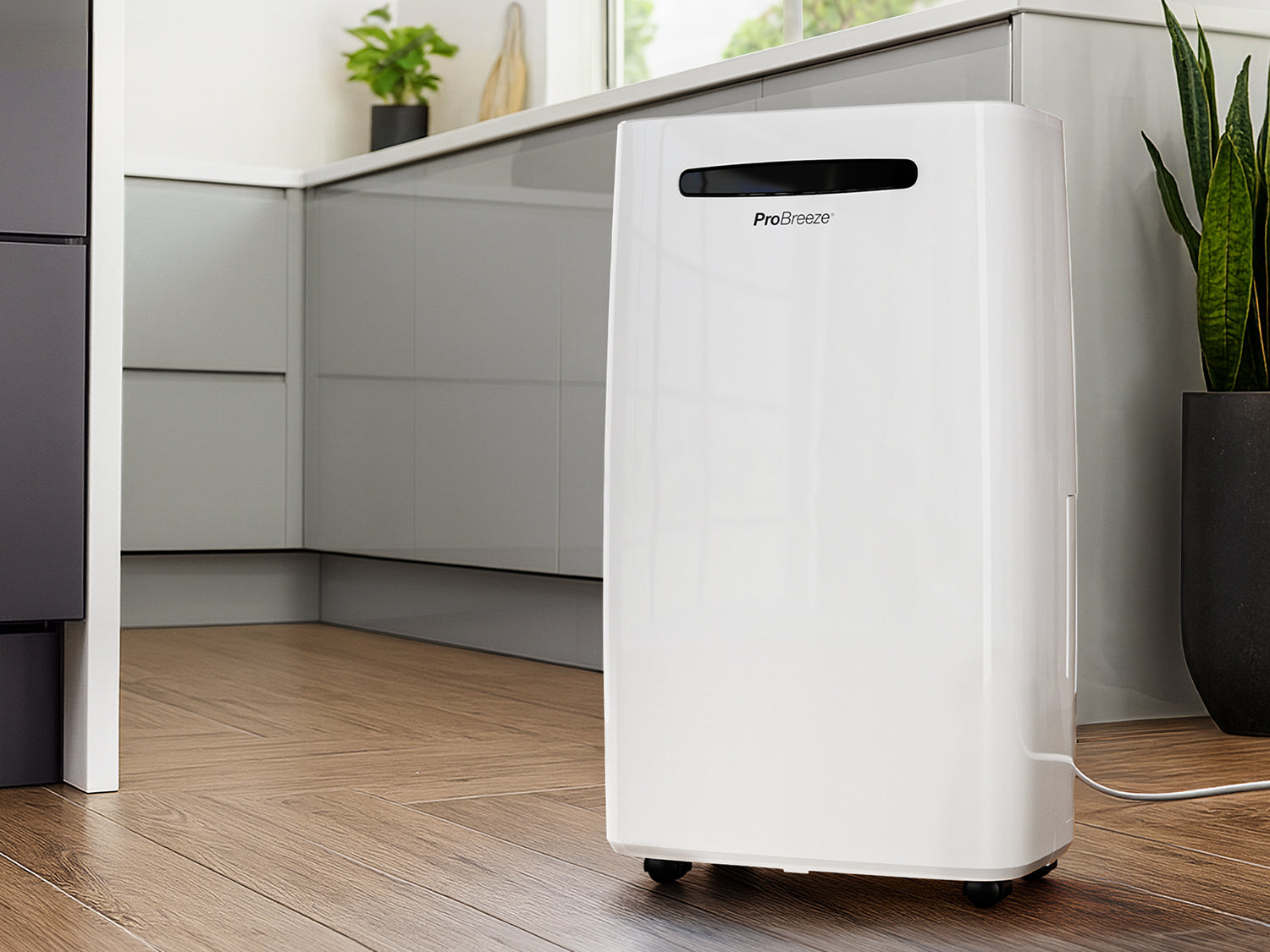 Why Choose a Portable Dehumidifier Over a Whole-House System?