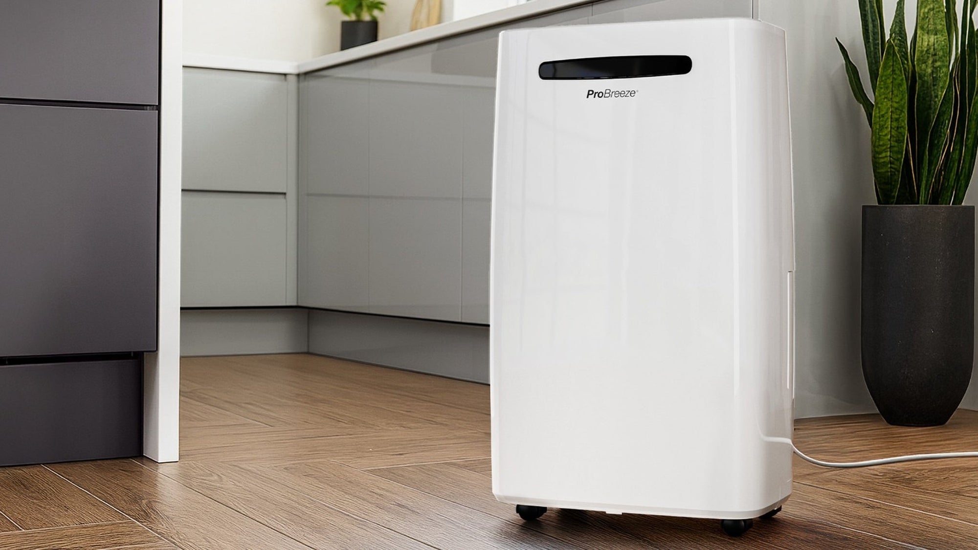 How Do Different Types of Dehumidifiers Work? Compressor vs Desiccant vs Mini