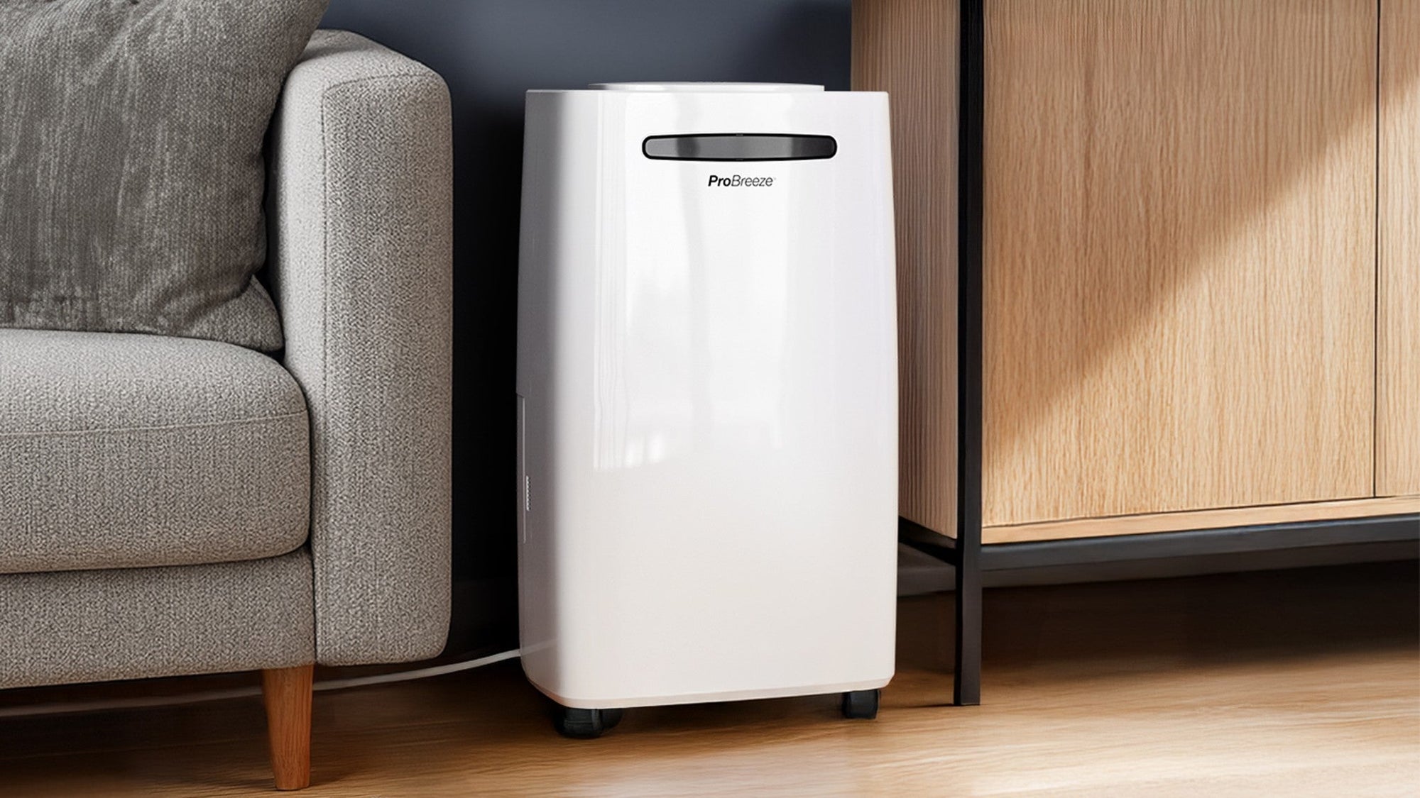 When to Get a Dehumidifier: 10 Signs & Situations