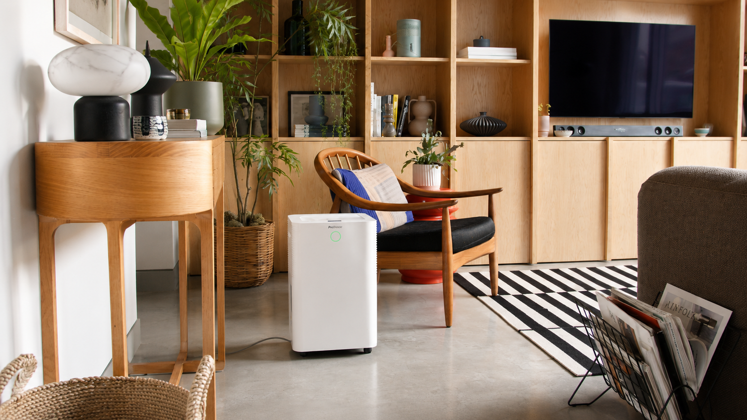 Benefits of a Dehumidifier for Protecting Belongings: Wardrobes, Books & Storage