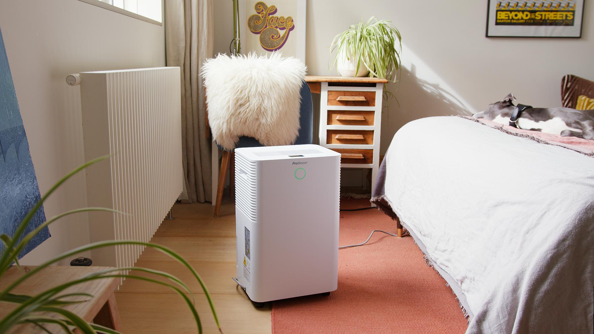 Benefits of a dehumidifier: Reduces smells