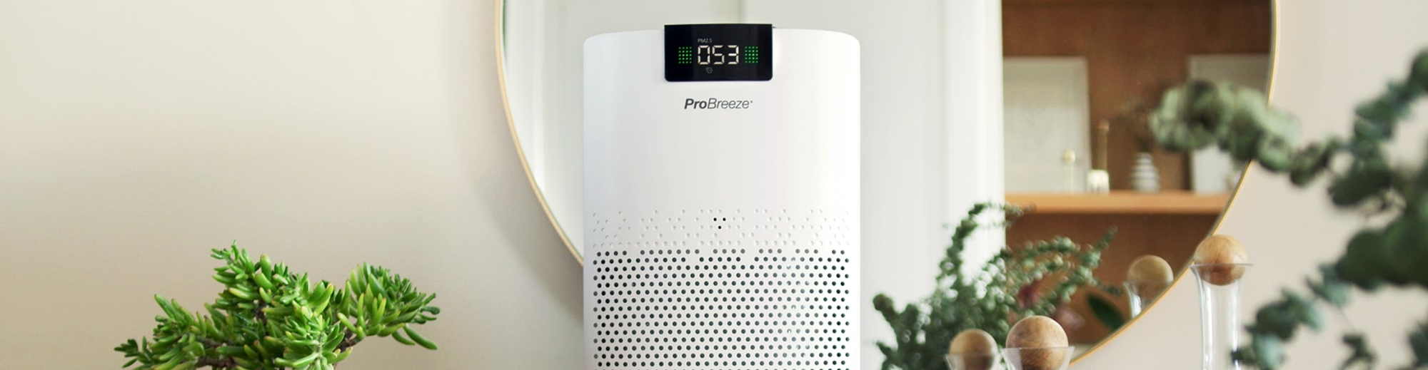 Air Purifiers Free Delivery Pro Breeze