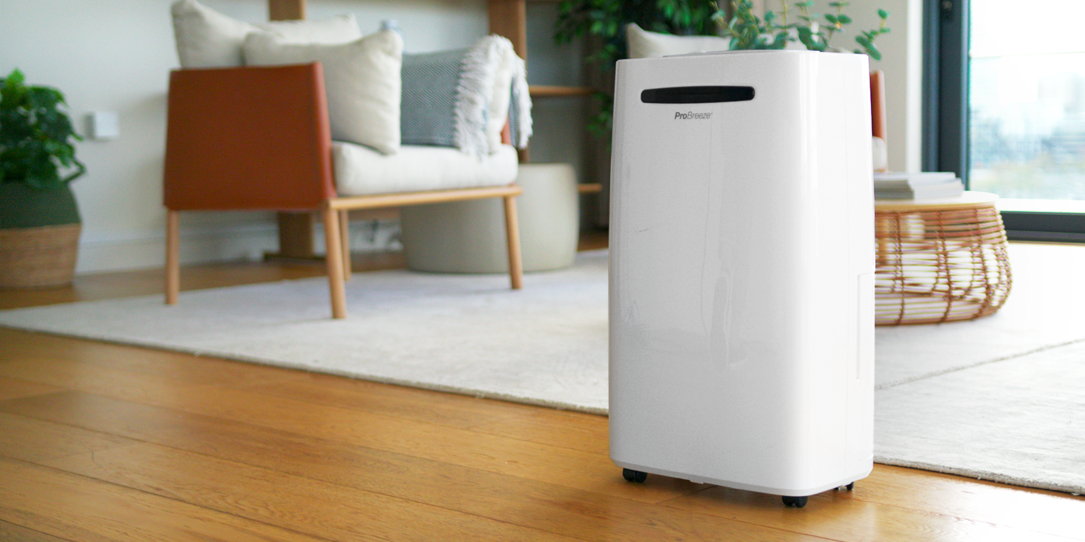 Refurbished Dehumidifiers