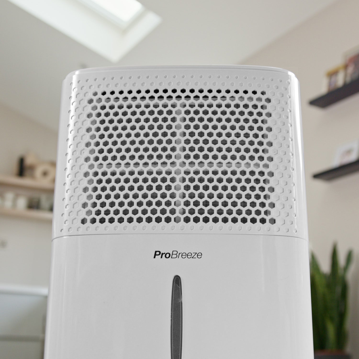 12L Dehumidifier with Built-in Humidistat