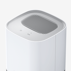 1000ml Dehumidifier with 4-hour Timer and LED Light