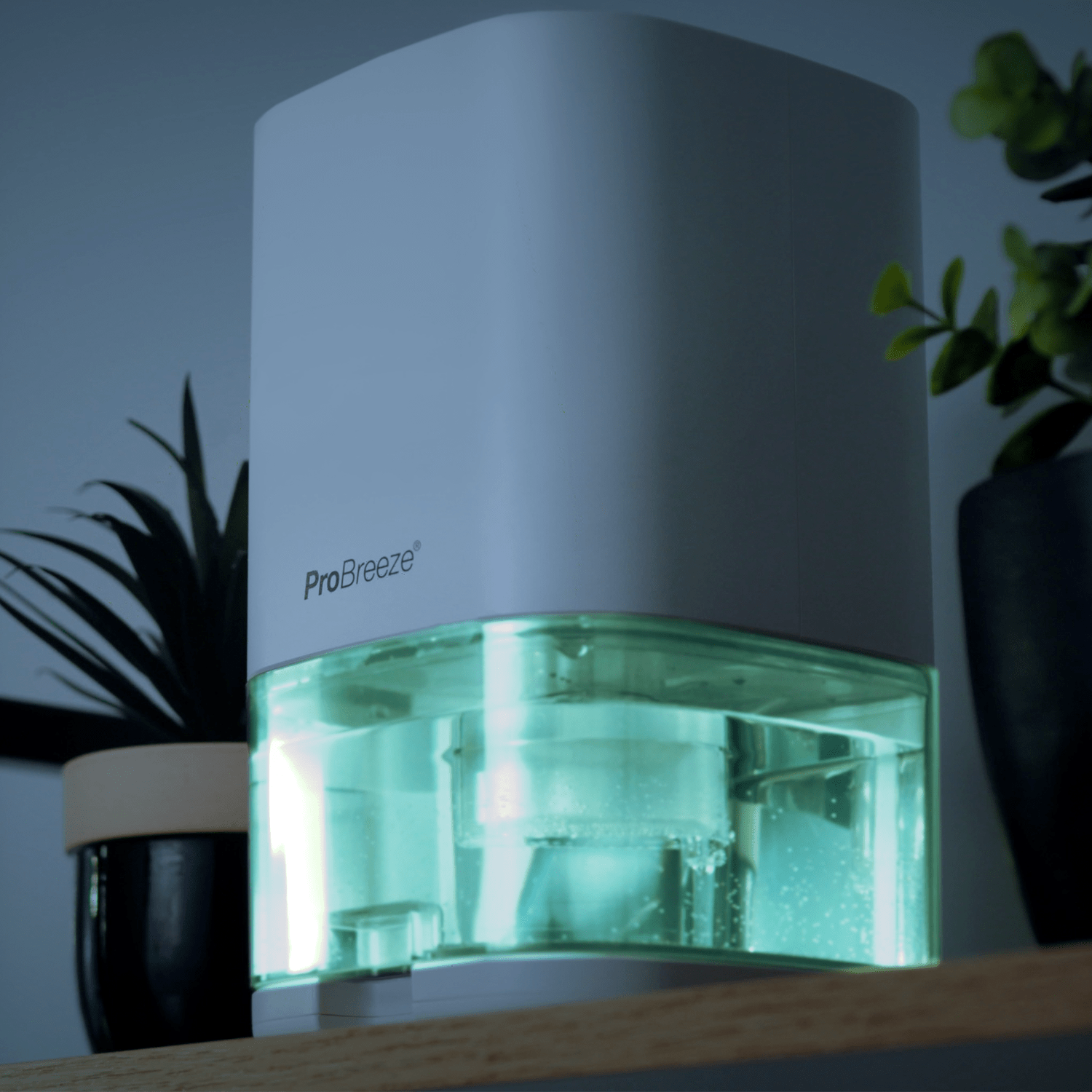 1000ml Dehumidifier with 4-hour Timer and LED Light