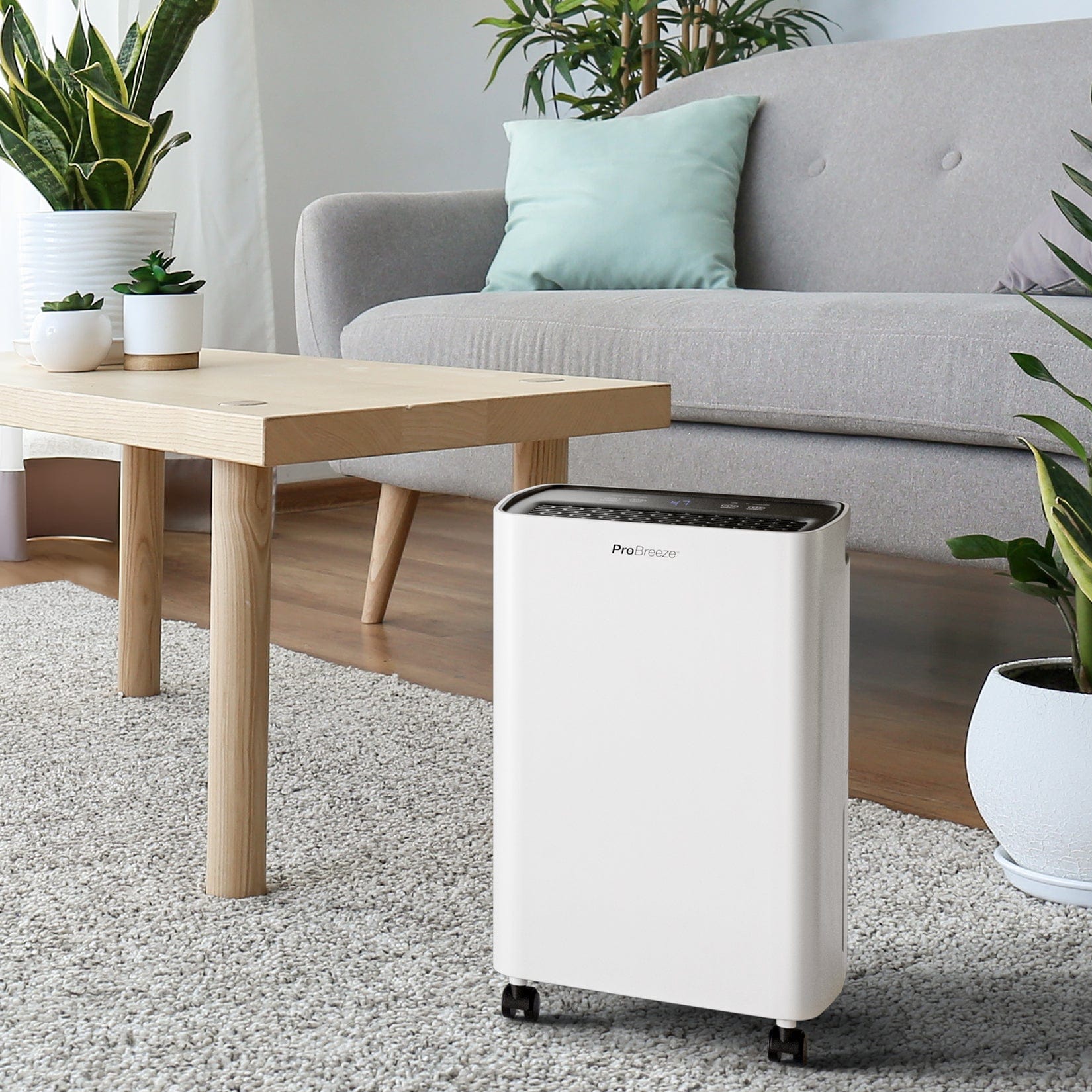 Refurbished - 6L Compact Dehumidifier