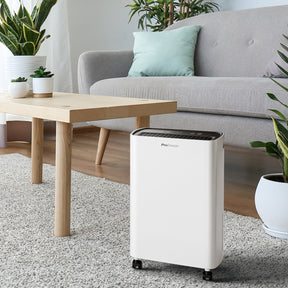 12L Compact Dehumidifier